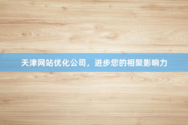 天津网站优化公司，进步您的相聚影响力